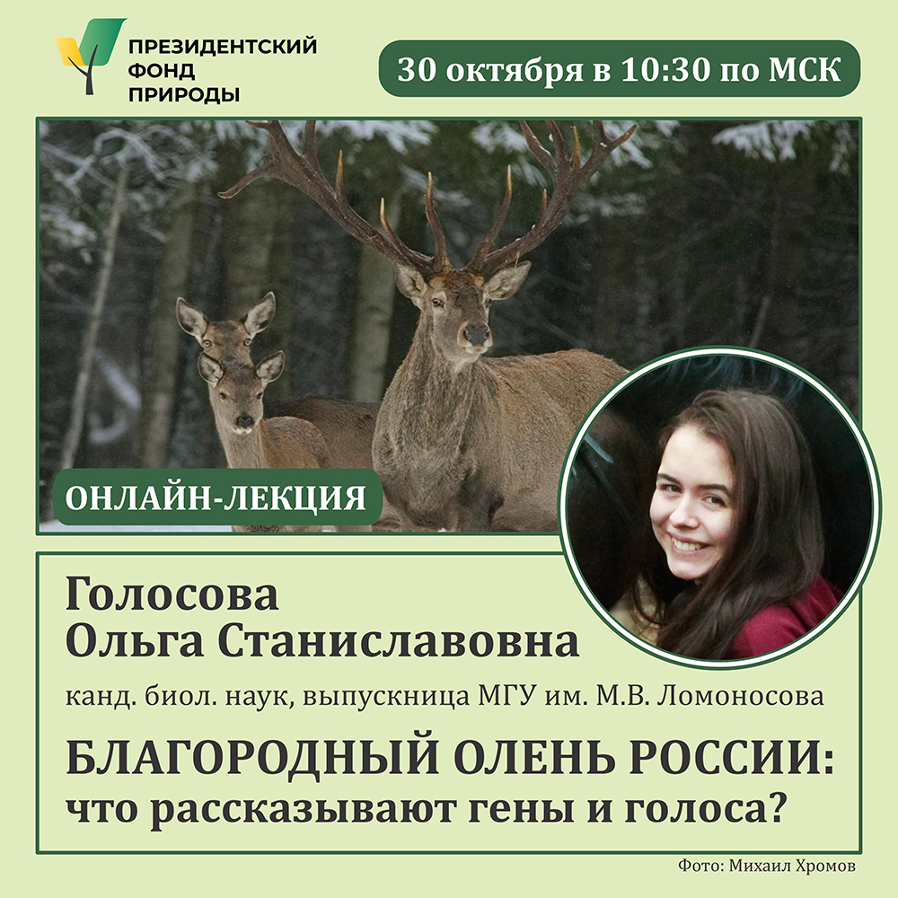 Анонс онлайн-лекции Анонс онлайн-лекции